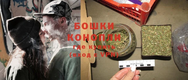 мдпв Володарск