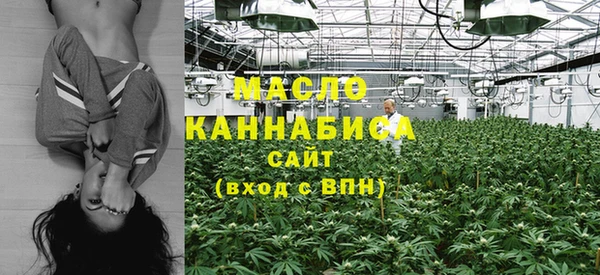 мдпв Володарск