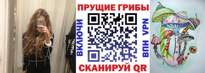 магазин продажи   Осинники  ссылка на мегу как войти  Псилоцибиновые грибы мицелий 